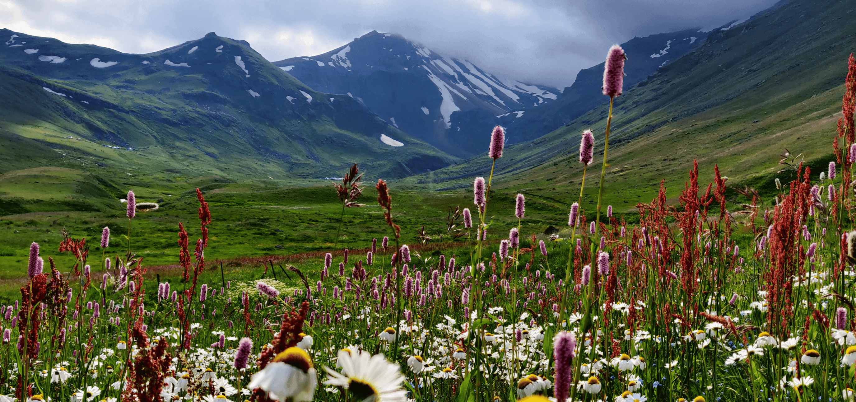 Travel background